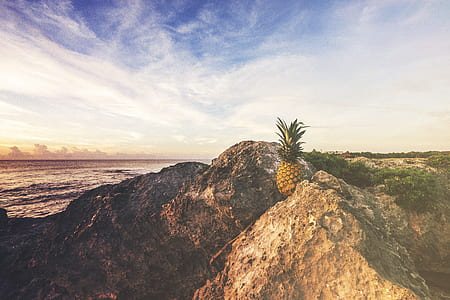 sea, dawn, landscape, nature thumbnail