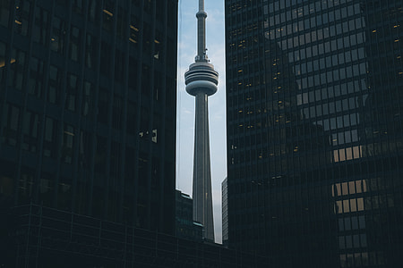 CN tower near high rise buildings during daytime thumbnail