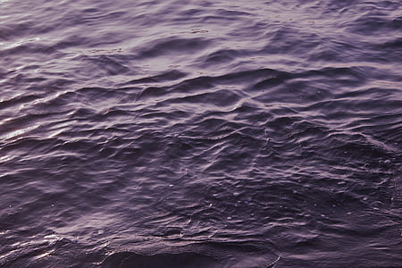 purple water thumbnail