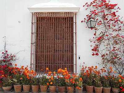 Brown Metal Window Frame Surrounded by Flowers thumbnail