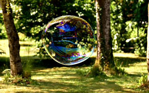 close up photo of bubble near trees thumbnail
