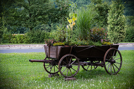 photo of brown wheelbarrow filled with plants thumbnail