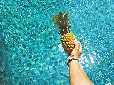 person holding pineapple thumbnail