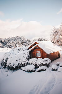 snow covered houses and trees thumbnail