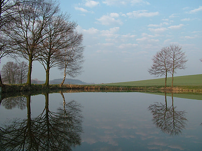 bare trees beside body of water thumbnail