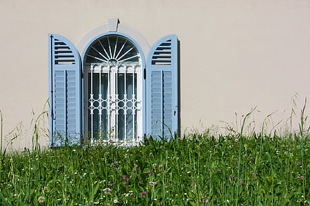 green grass near brown wall thumbnail
