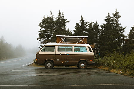 white and brown Volkswagen Combi parked near pine trees thumbnail