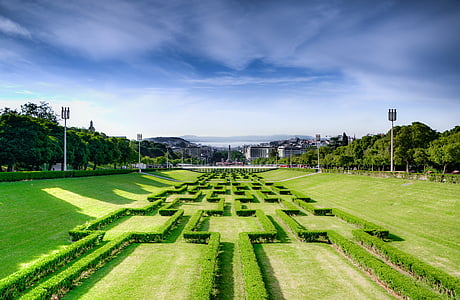 green lawn field thumbnail
