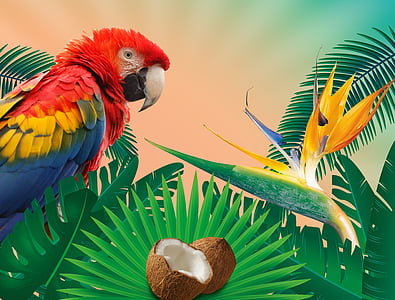 parrot perched on plant wallpaper thumbnail