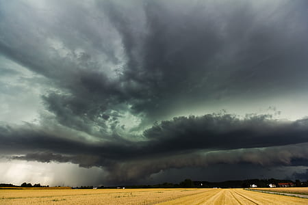 brown grass field under nimbus clouds thumbnail