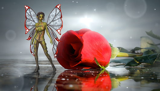 red rose and fairy illustration thumbnail