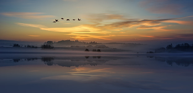 six flying birds above lake under cloudy sky thumbnail