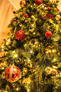 blur, tree, sphere, decoration thumbnail