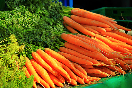 orange carrots thumbnail