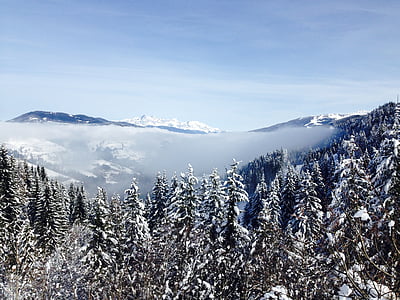 photo of snow-covered trees within mountain range during daytime thumbnail