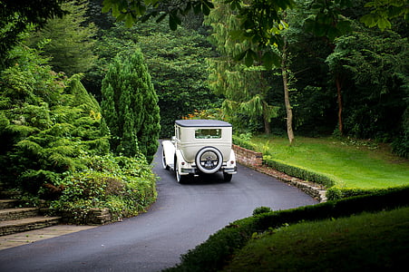 white vehicle surrounded by trees thumbnail