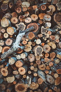 aerial photograph of cordwood thumbnail