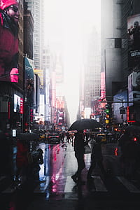 people walking on pedestrian lane thumbnail