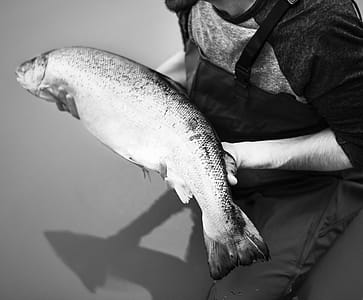 Grayscale Photo of Man Holding Milkfish thumbnail