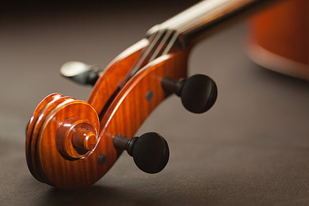 brown violin stock thumbnail