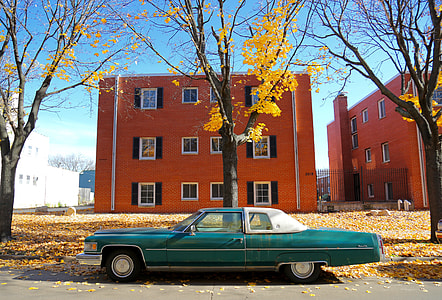 teal muscle car park in beside bare tree thumbnail