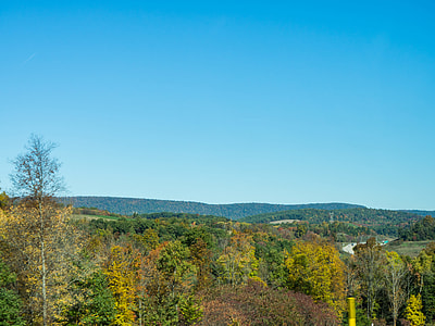 landscape photography of field of green trees under calm blue sky] thumbnail