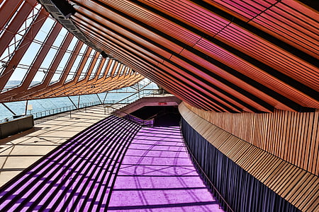 purple pathway inside structure thumbnail