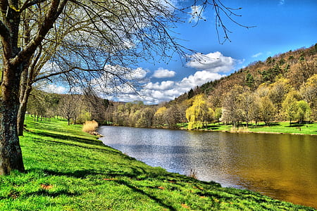 scenery of trees and body of water thumbnail