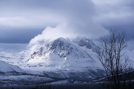 landscape photography of snowy mountain and withered tree under cloudy sky during daytime thumbnail