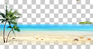 Beach Sea Computer file, Beach and the sea, coconut palm tree near beach at daytime PNG clipart