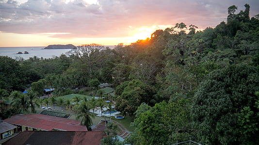 aerial photo of building surrounded by trees thumbnail