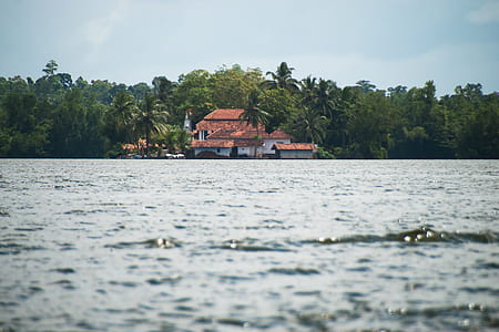 red and white concrete building near shoreline and trees thumbnail