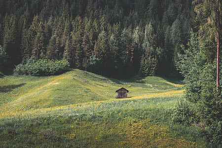 brown house in the middle of grass field thumbnail