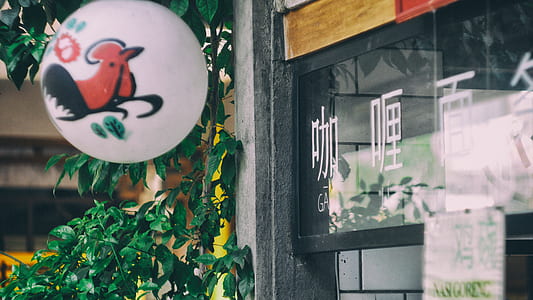 white and red paper lantern hanged in front of glass wall thumbnail