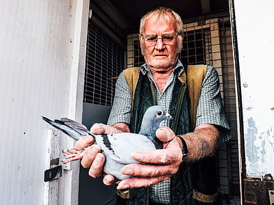 man holding pigeon thumbnail