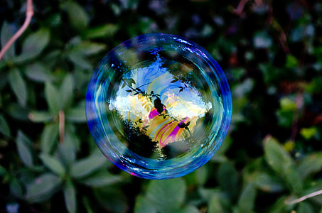 selective photography floating bubble near green leaves thumbnail