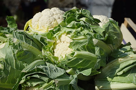 close-up photography of cauliflower vegetables thumbnail