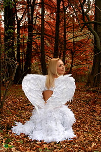 woman with angel wings on dried leaves photo thumbnail