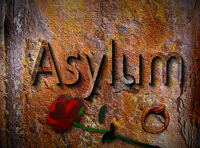 brown and beige background with rose overlay thumbnail
