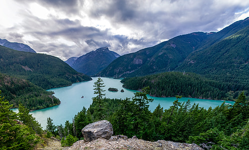 aerial view photography of lake surrounded by pine trees during daytime thumbnail