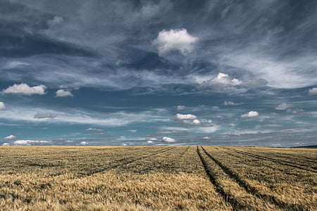 landscape photography of hay field thumbnail