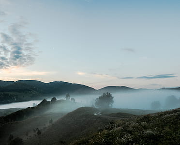Silhouette of Trees and Mountain thumbnail