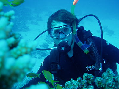 person wearing diving gear under water near corals thumbnail