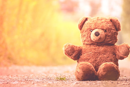 shallow focus photography of a bear plush toy thumbnail