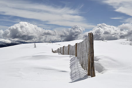 filed covered with snow thumbnail