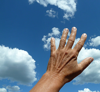 closeup photo of person hand thumbnail