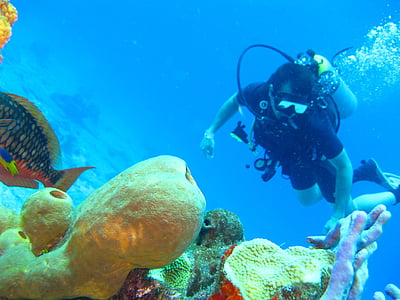 man scuba diving under water thumbnail