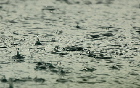 water drops micro photographyu thumbnail