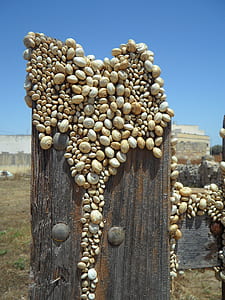pebbles on wood plank thumbnail