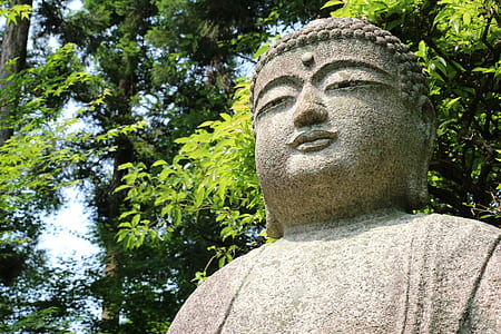 Buddha statue thumbnail